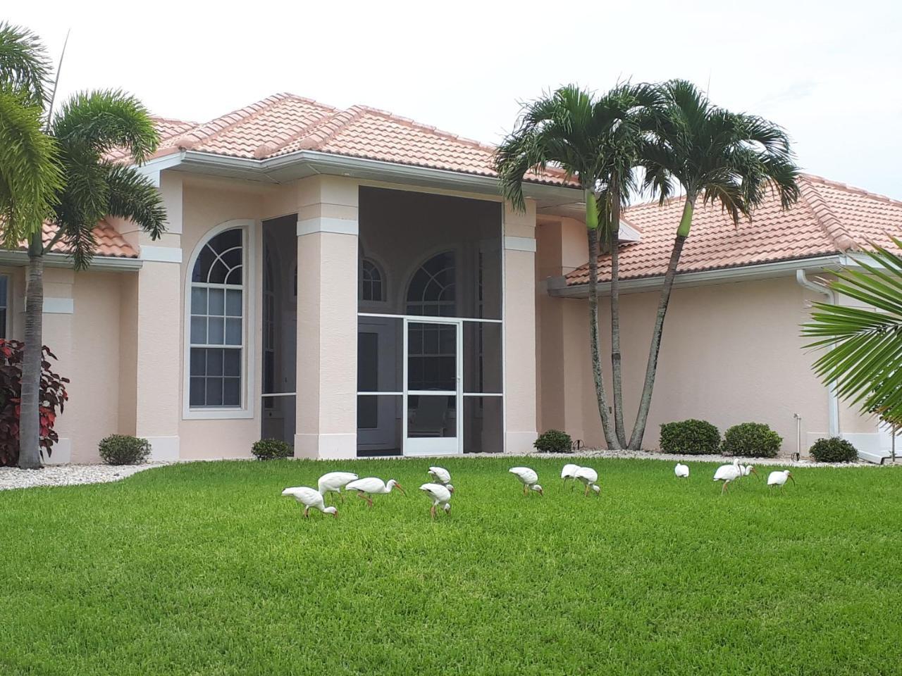 Villa Eyleen كيب كورال المظهر الخارجي الصورة